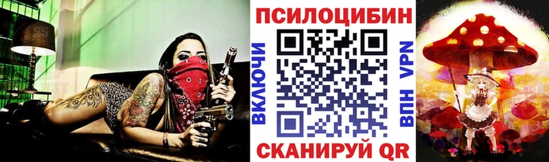 Купить где  Дмитриев  Псилоцибиновые грибы Cubensis 